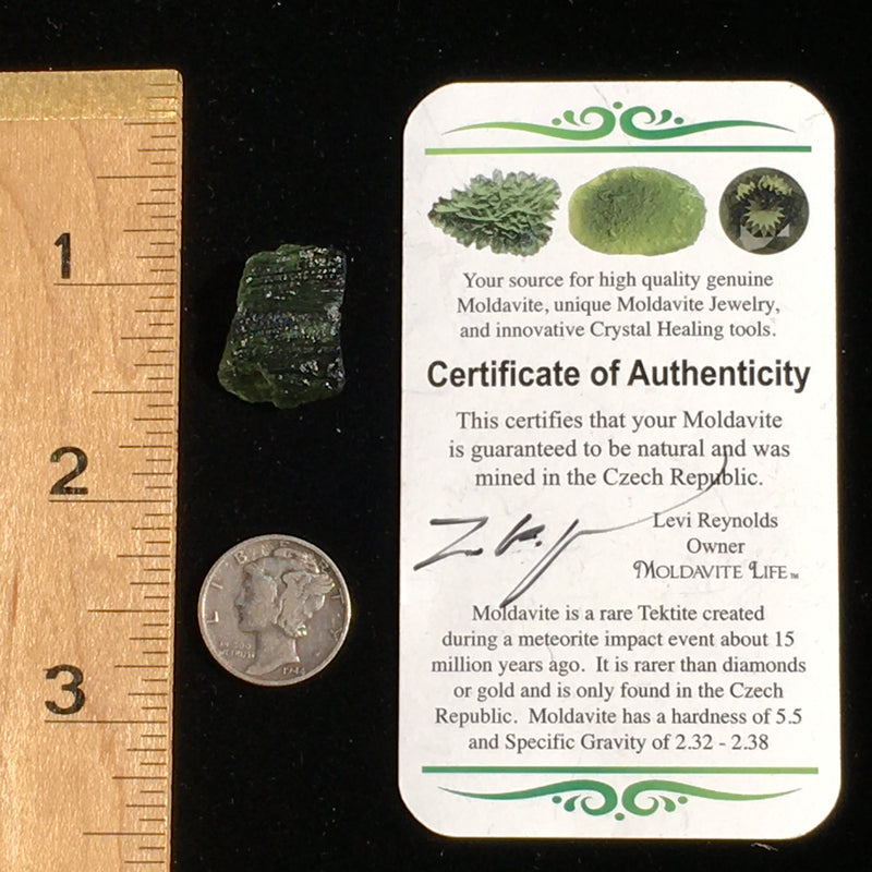 Genuine Moldavite Certified 1.7 Grams-Moldavite Life