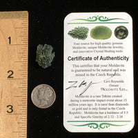 Genuine Moldavite Certified 1.8 Grams-Moldavite Life