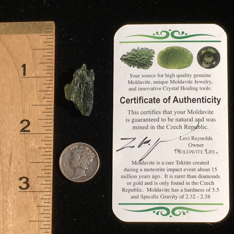 Genuine Moldavite Certified 1.7 Grams-Moldavite Life