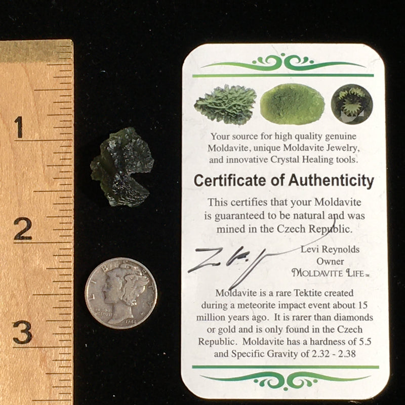 Genuine Moldavite Certified 1.6 Grams-Moldavite Life