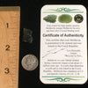 Genuine Moldavite 1.3 Grams-Moldavite Life