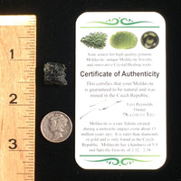 Genuine Moldavite 1.6 Grams-Moldavite Life