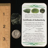 Genuine Moldavite 5.5 Grams-Moldavite Life
