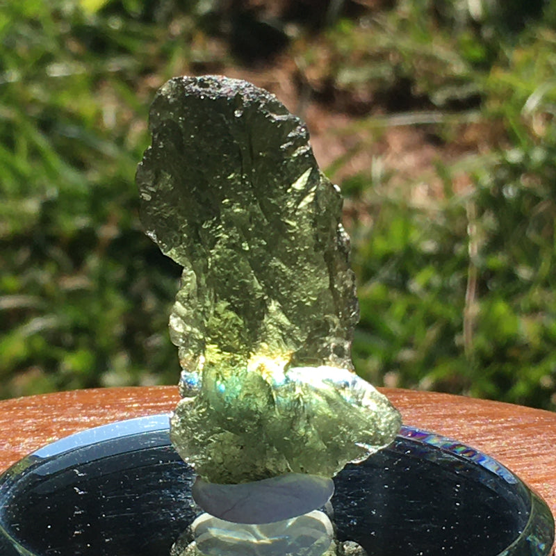 Genuine Moldavite 5.7 Grams-Moldavite Life