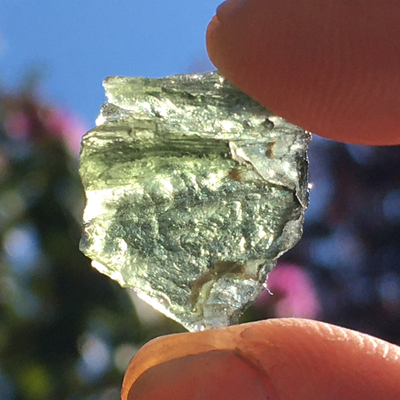 Genuine Moldavite 1.3 Grams RARE Shape-Moldavite Life