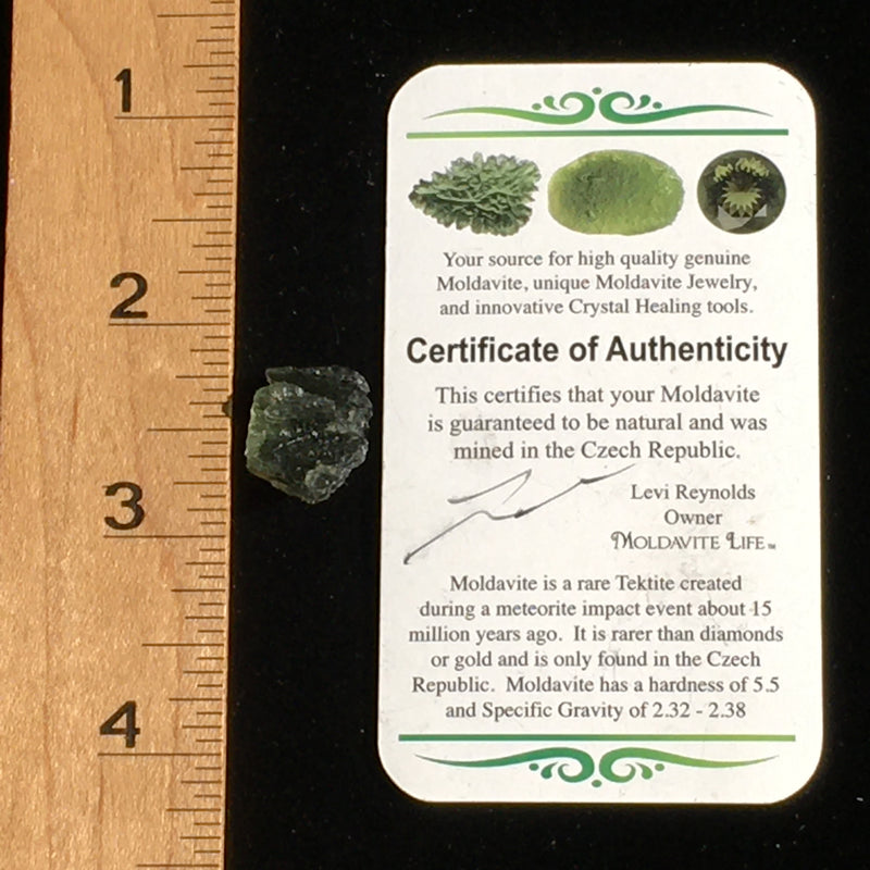 Genuine Moldavite 1.3 Grams RARE Shape-Moldavite Life