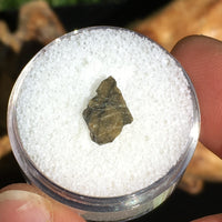 Rare Tatahouine Meteorite HED Achondrite Diogenite-Moldavite Life