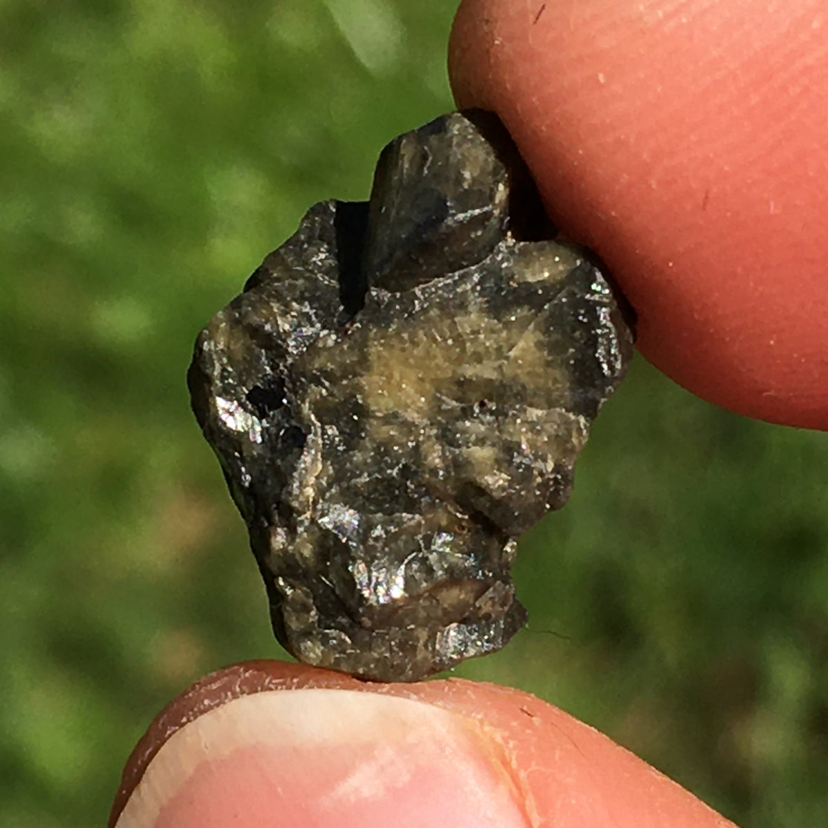 Rare Tatahouine Meteorite HED Achondrite Diogenite-Moldavite Life