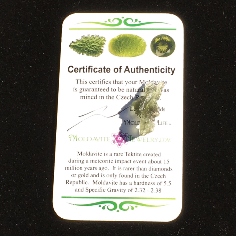 Besednice Moldavite Genuine Certified 0.8 grams BM42-Moldavite Life