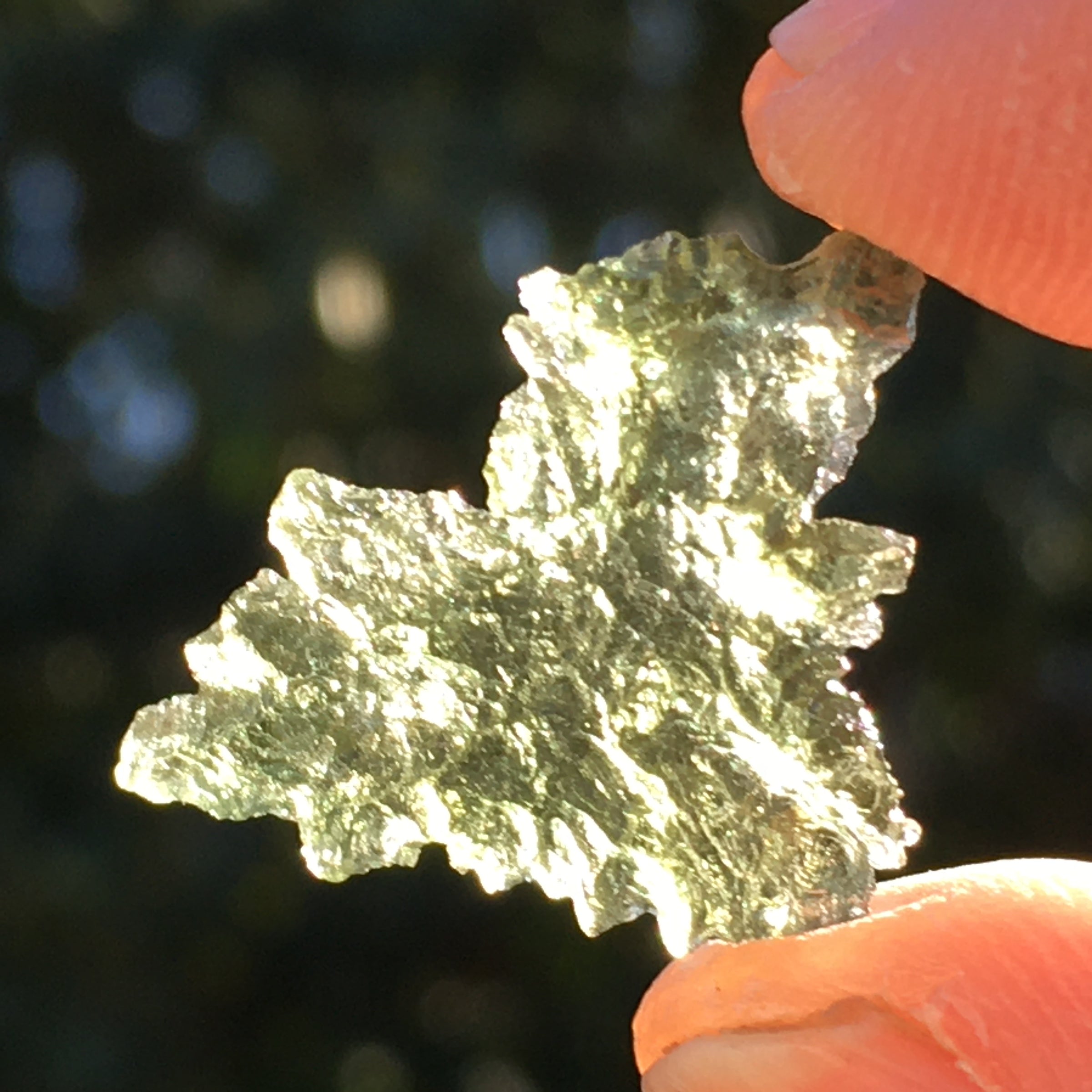 Besednice Moldavite Genuine Certified 1.1 grams BM51-Moldavite Life