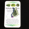 Besednice Moldavite Genuine Certified 1.7 grams BM54-Moldavite Life