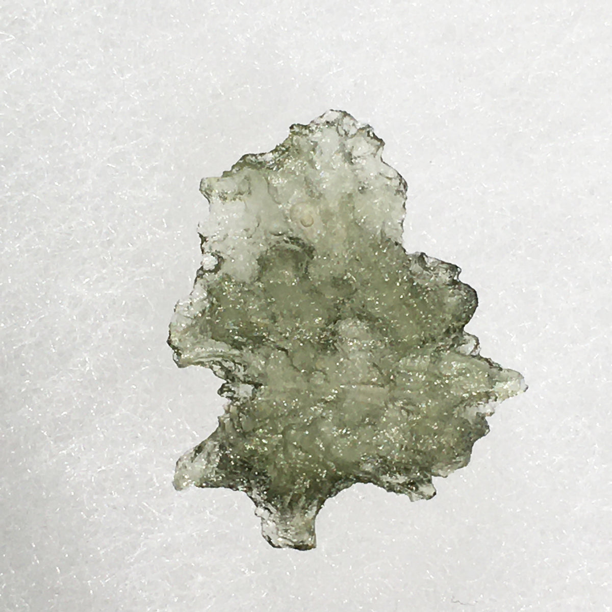 Besednice Moldavite Genuine Certified 0.7 grams BM57-Moldavite Life