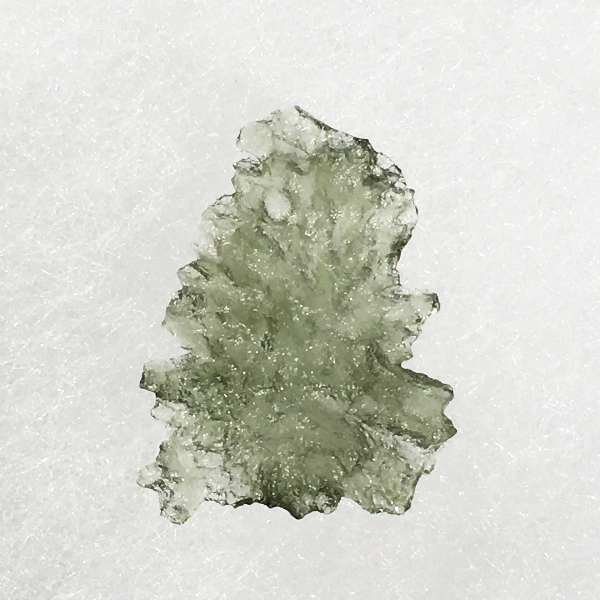 Besednice Moldavite Genuine Certified 0.8 grams BM62-Moldavite Life