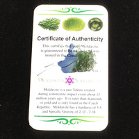Besednice Moldavite Genuine Certified 1.6 grams BM71-Moldavite Life