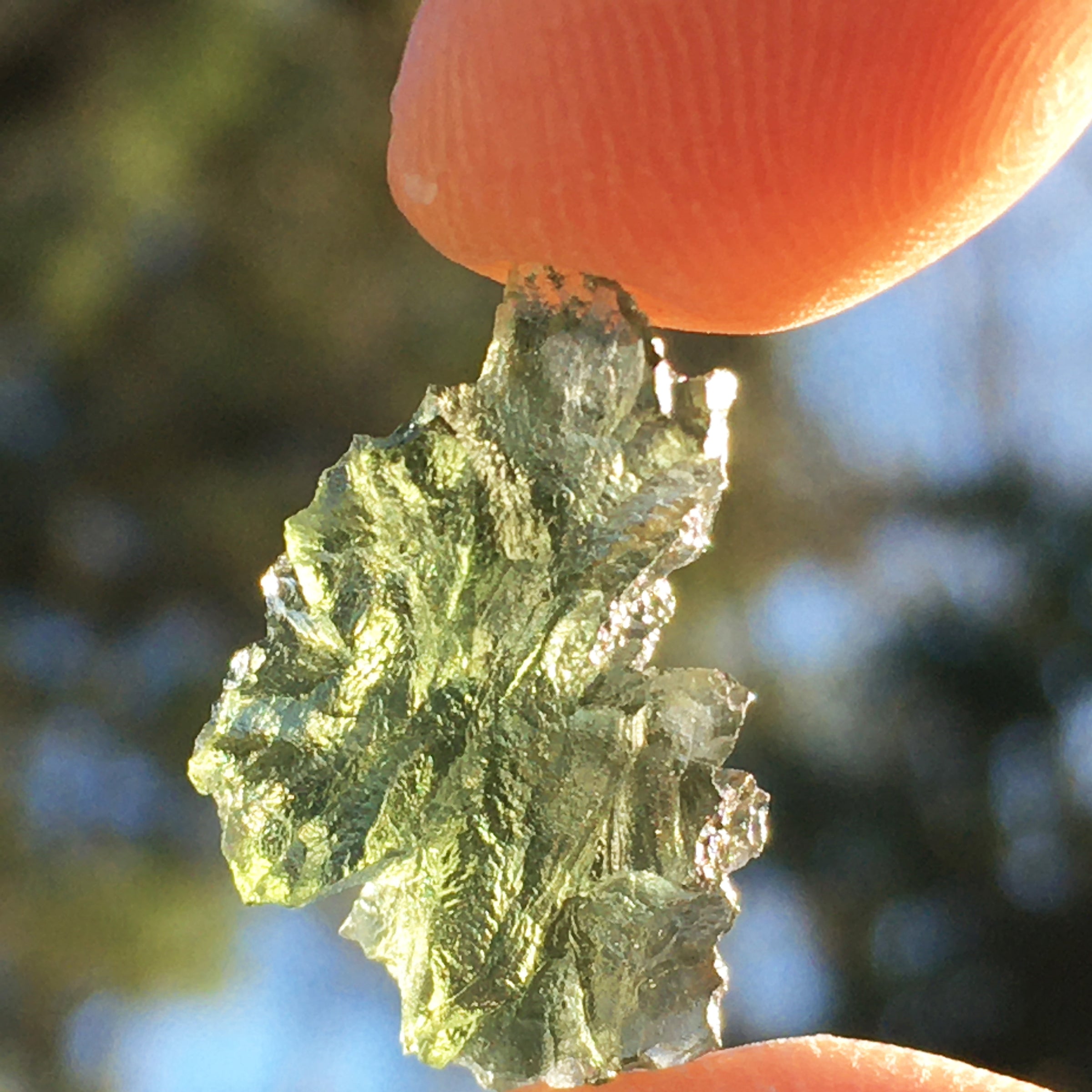 Besednice Moldavite Genuine Certified 1.3 grams BM85-Moldavite Life