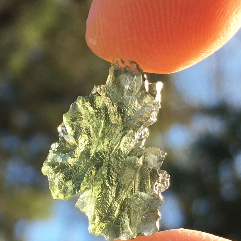 Besednice Moldavite Genuine Certified 1.3 grams BM85-Moldavite Life