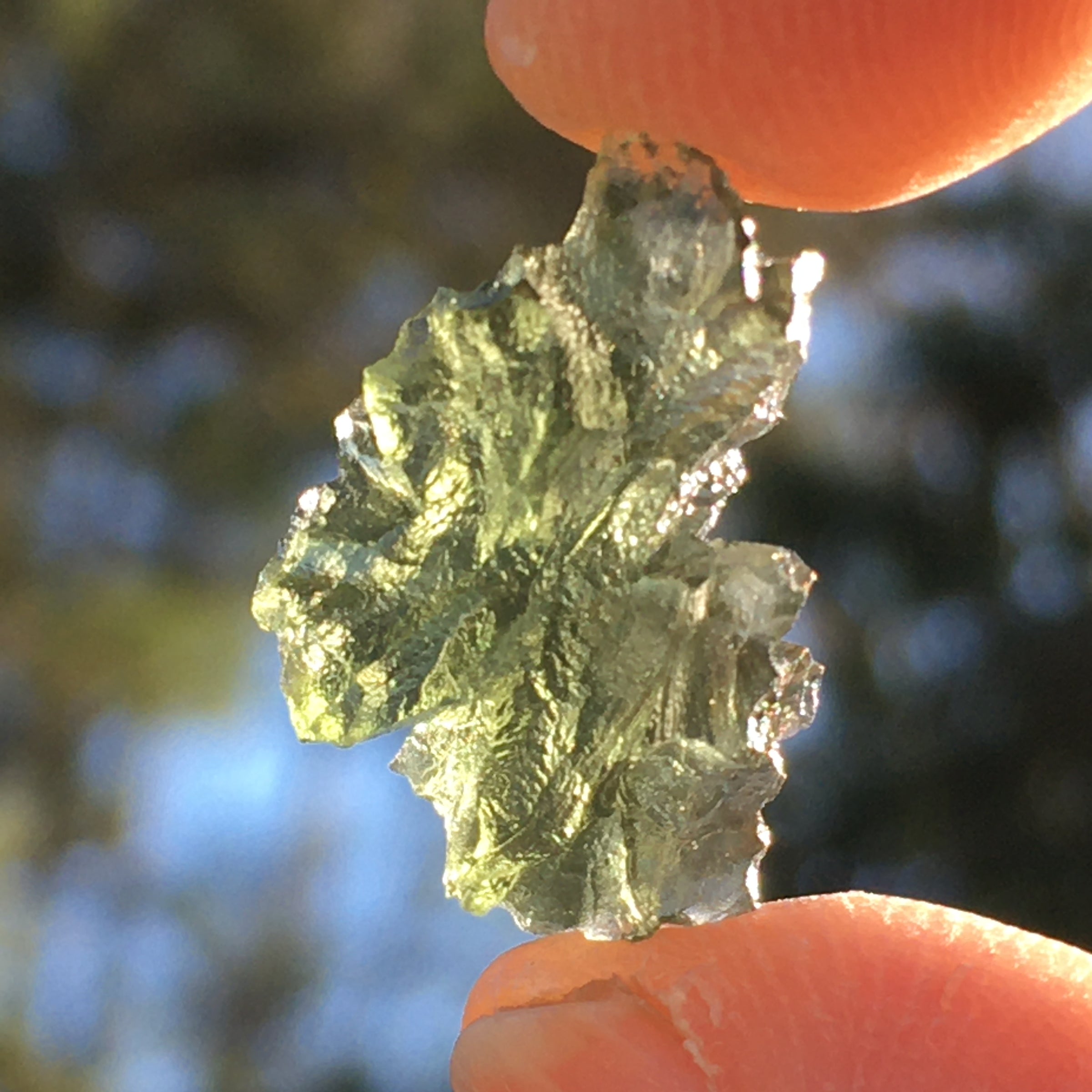 Besednice Moldavite Genuine Certified 1.3 grams BM85-Moldavite Life