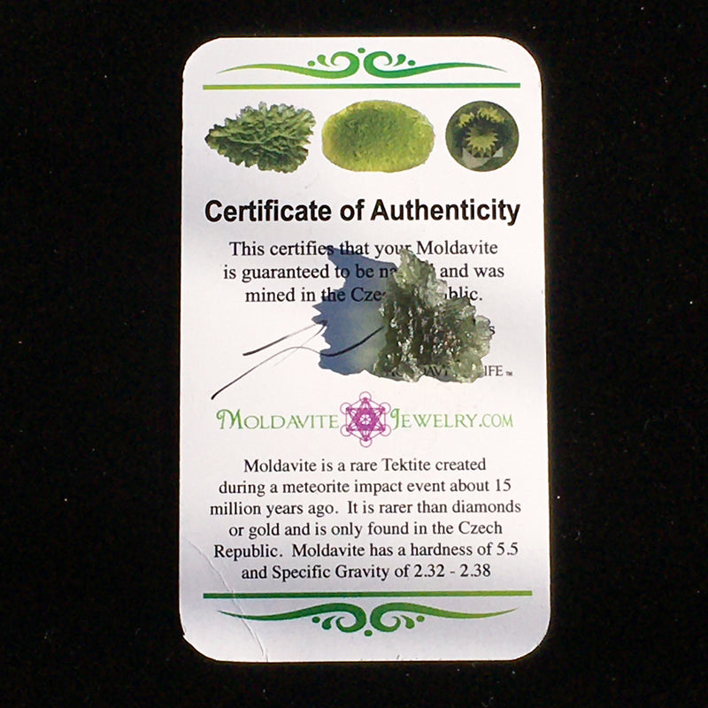 Besednice Moldavite Genuine Certified 1.3 grams BM93-Moldavite Life