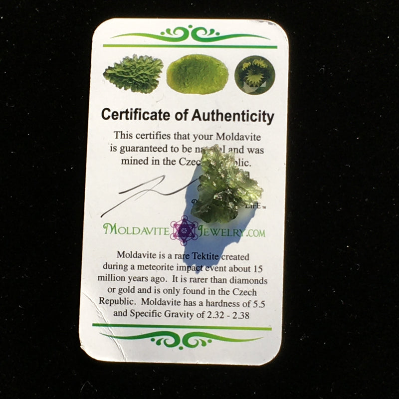 Besednice Moldavite Genuine Certified 1.3 grams BM98-Moldavite Life