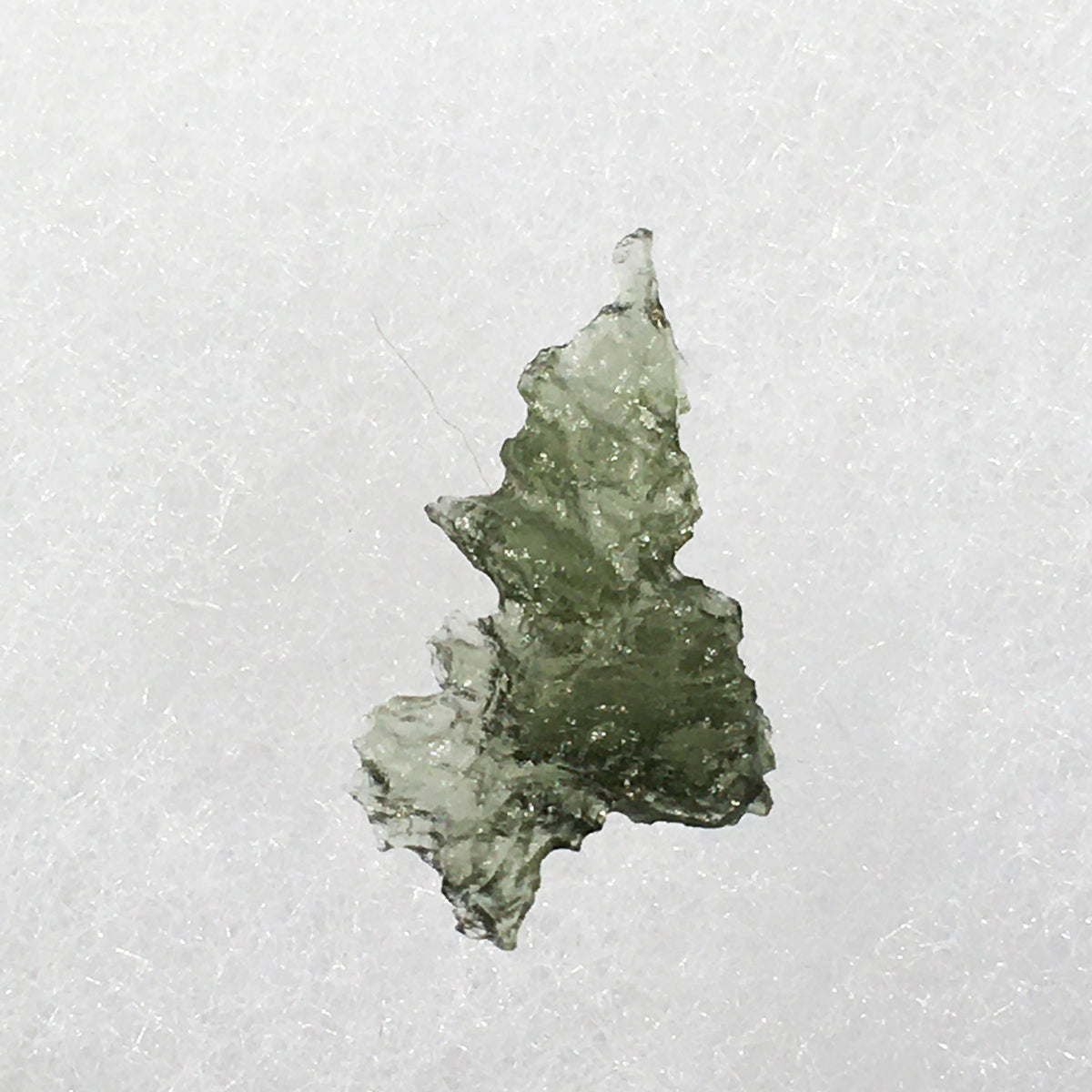 Besednice Moldavite Genuine Certified 0.6 grams BM100-Moldavite Life