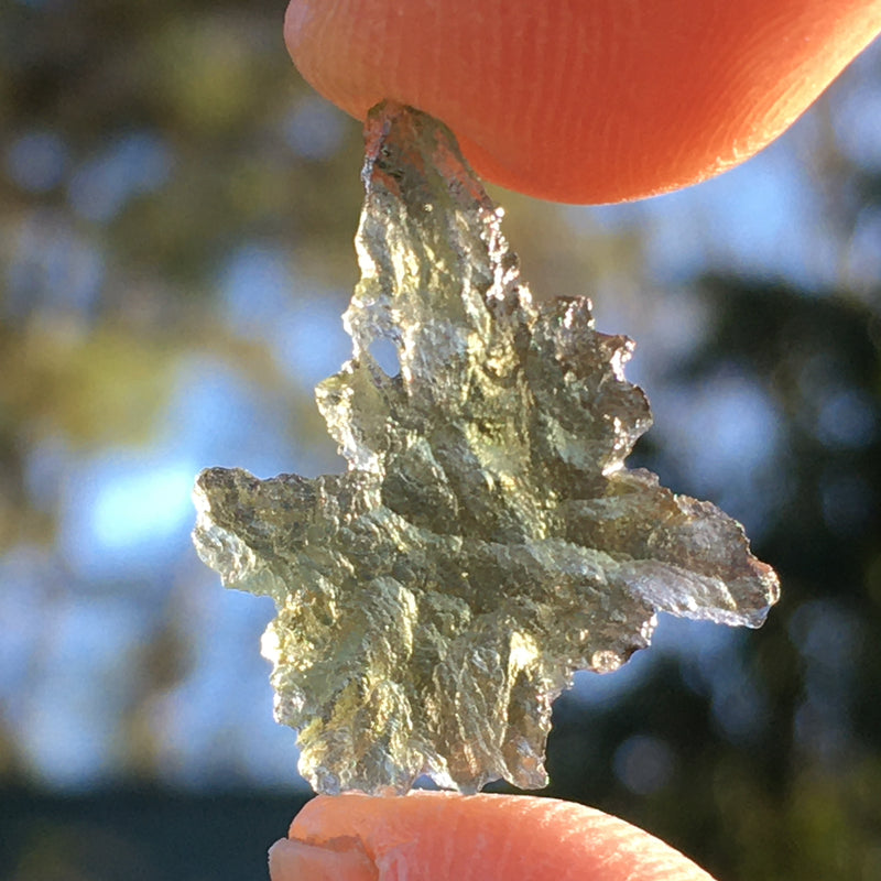 Besednice Moldavite Genuine Certified 0.6 grams BM102-Moldavite Life