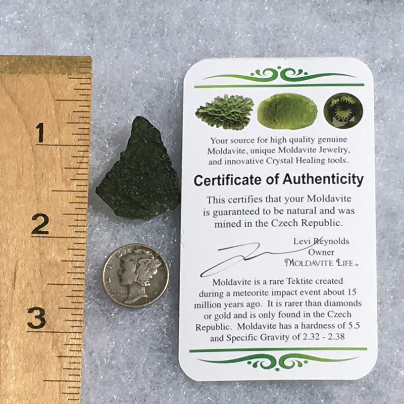 Genuine Moldavite 4.3 Grams-Moldavite Life