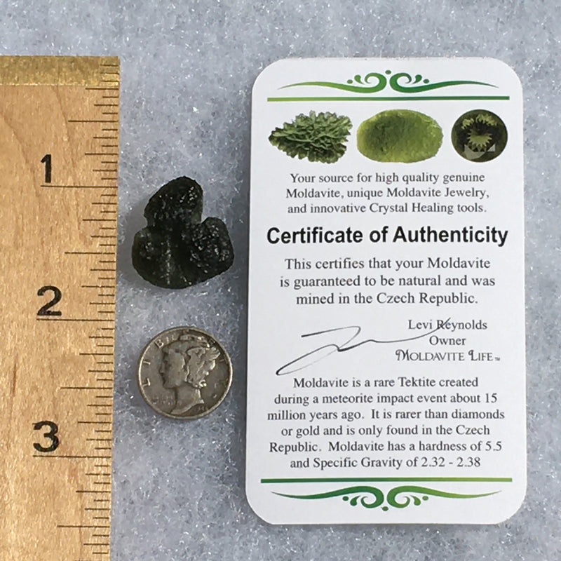 Genuine Moldavite 3.6 Grams-Moldavite Life
