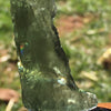 Genuine Moldavite 5.3 Grams-Moldavite Life