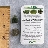 Genuine Moldavite 2.1 Grams-Moldavite Life