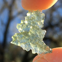 Small Besednice Moldavite Genuine Certified 0.7 grams