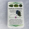 Besednice Moldavite Genuine Certified 0.9 grams