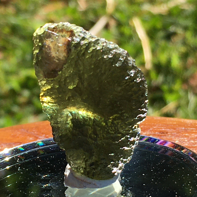 Genuine Moldavite 5.4 Grams-Moldavite Life