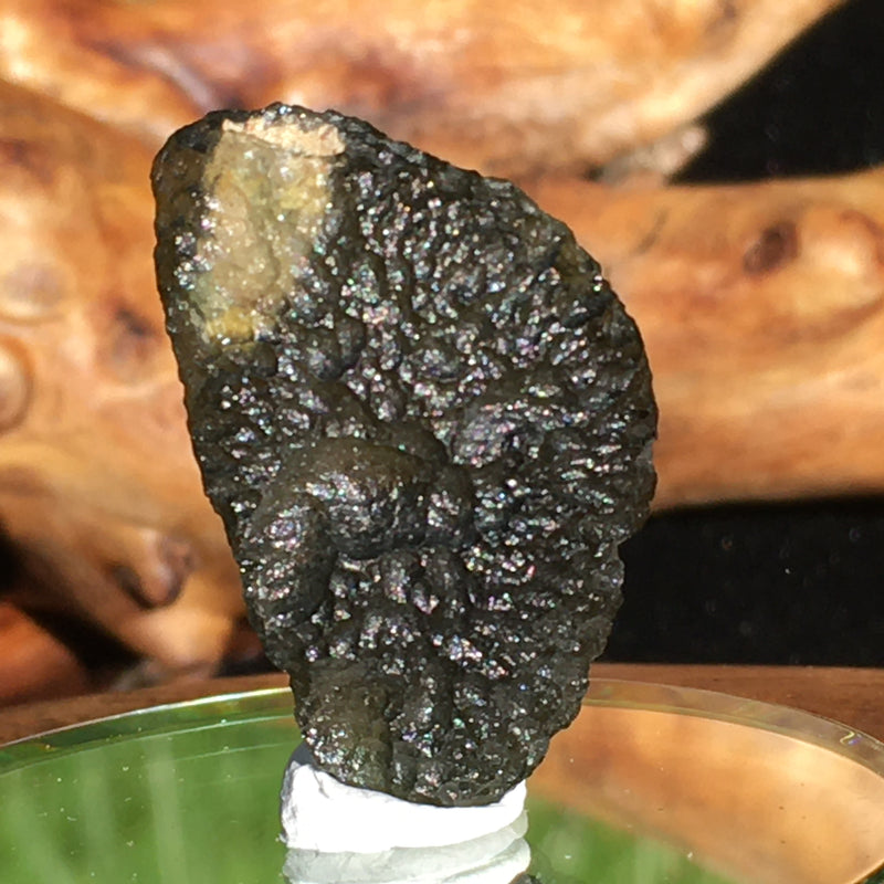 Genuine Moldavite 5.4 Grams-Moldavite Life