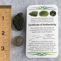 Genuine Moldavite 5.4 Grams-Moldavite Life