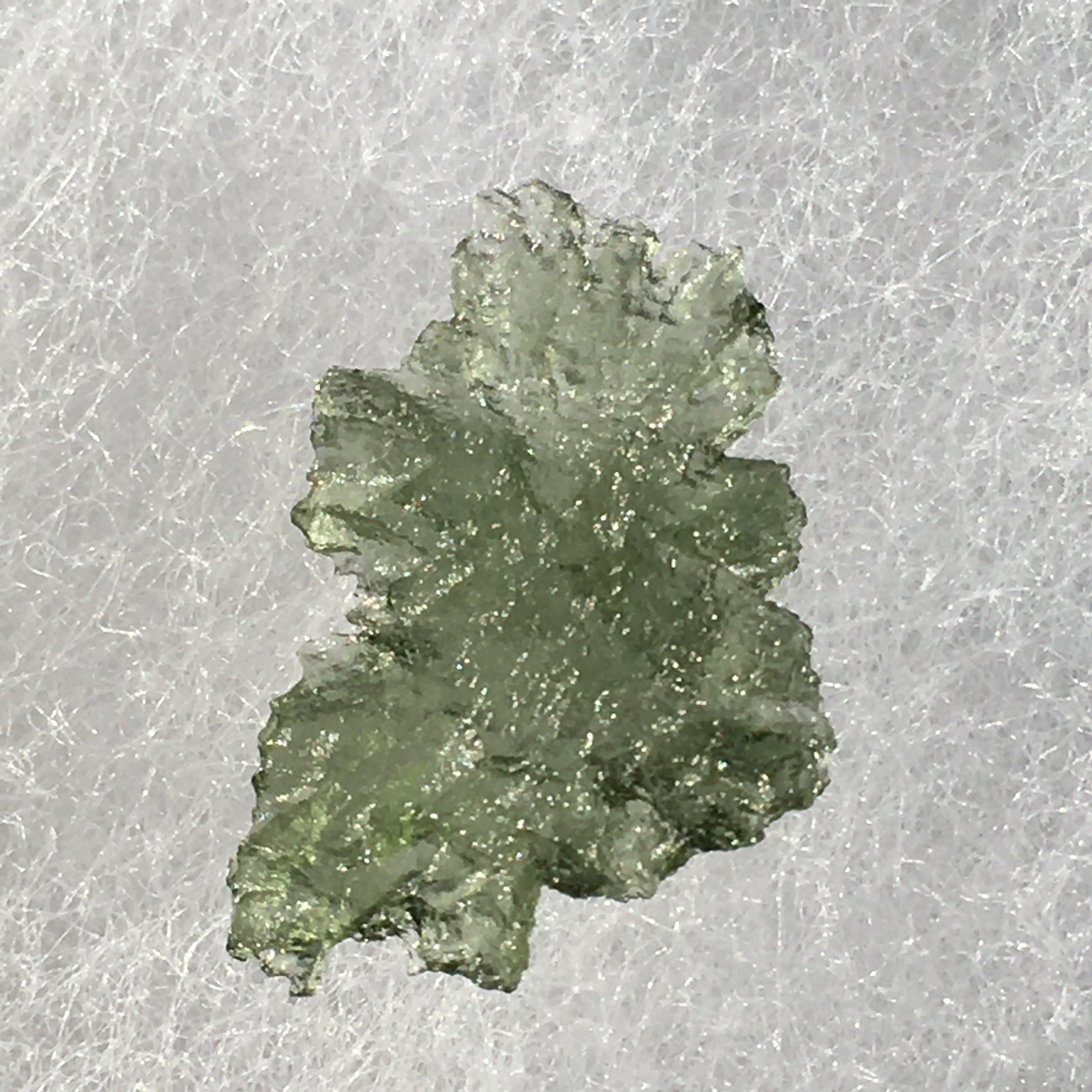 Small Besednice Moldavite Genuine Certified 0.8 grams