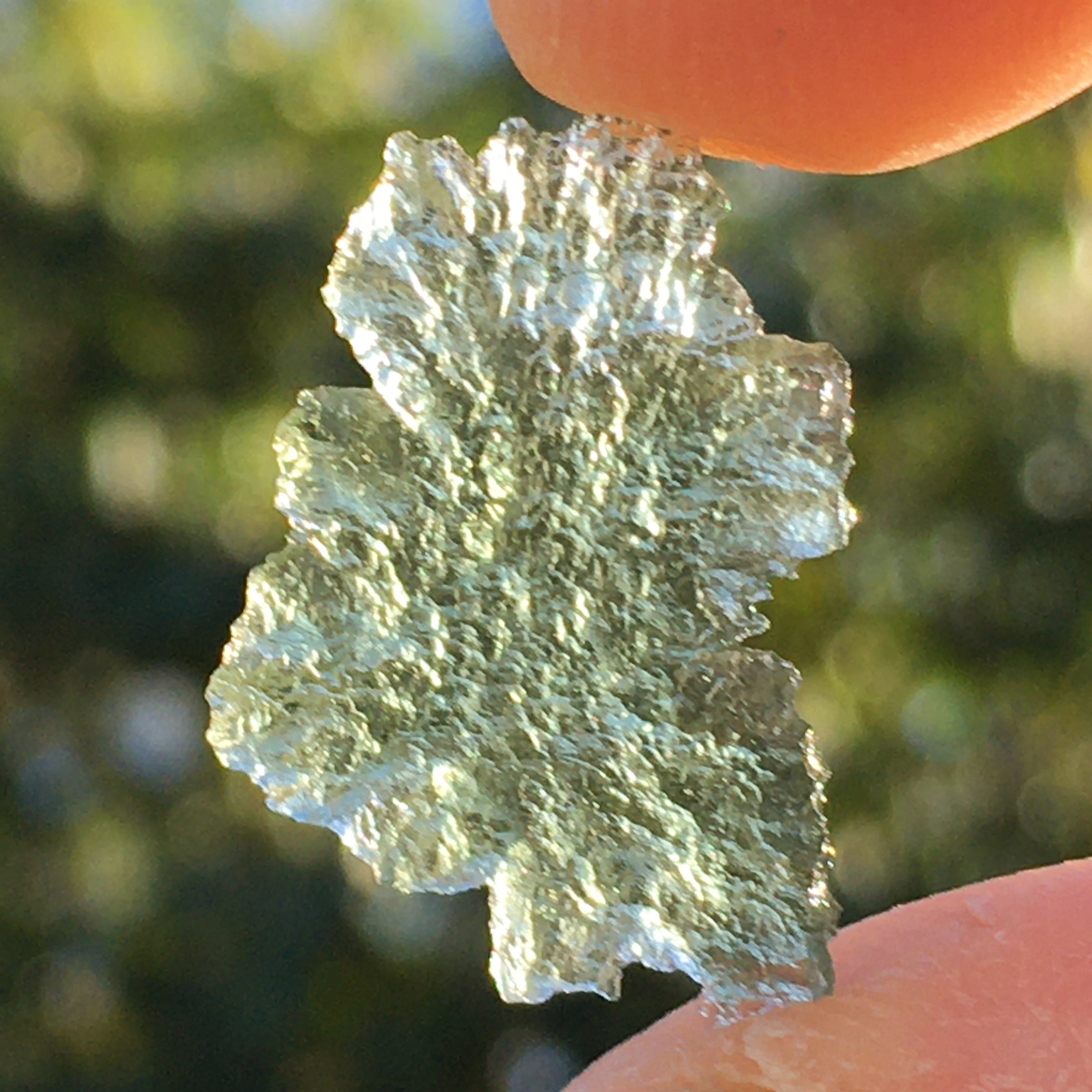 Small Besednice Moldavite Genuine Certified 0.8 grams