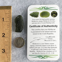 Genuine Moldavite 4.9 Grams-Moldavite Life