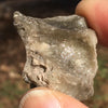 Darwinite Darwin Glass Tektite 8.5 grams-Moldavite Life