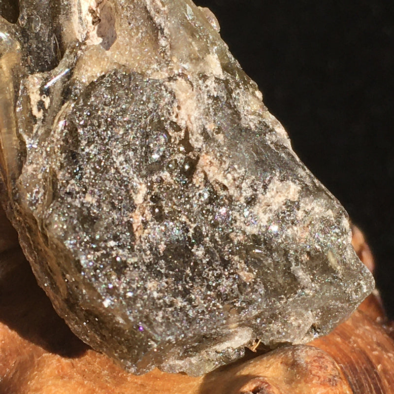 Darwinite Darwin Glass Tektite 7.1 grams-Moldavite Life