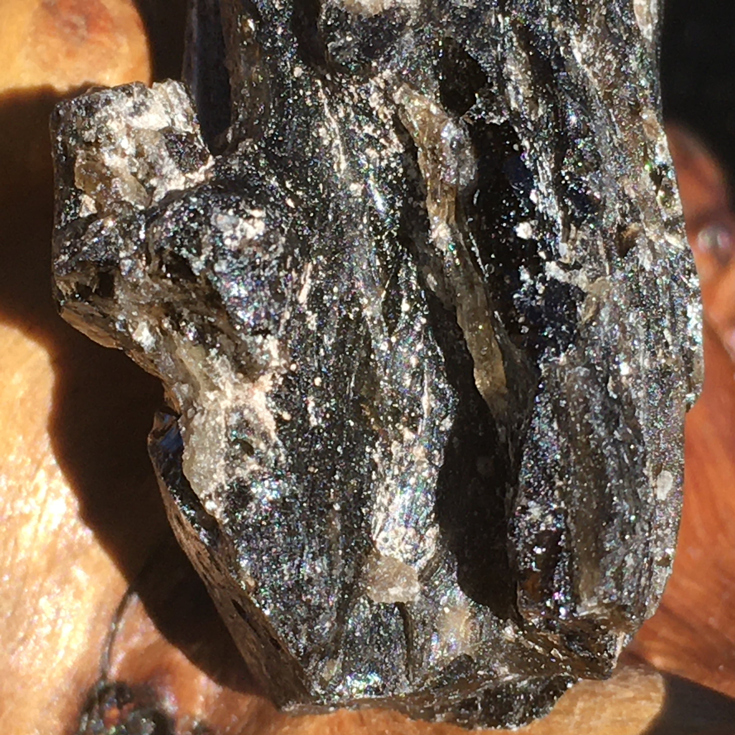 Raw Darwinite Darwin Glass Tektite 8.5 grams