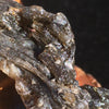 Darwinite Darwin Glass Tektite 6.2 grams-Moldavite Life
