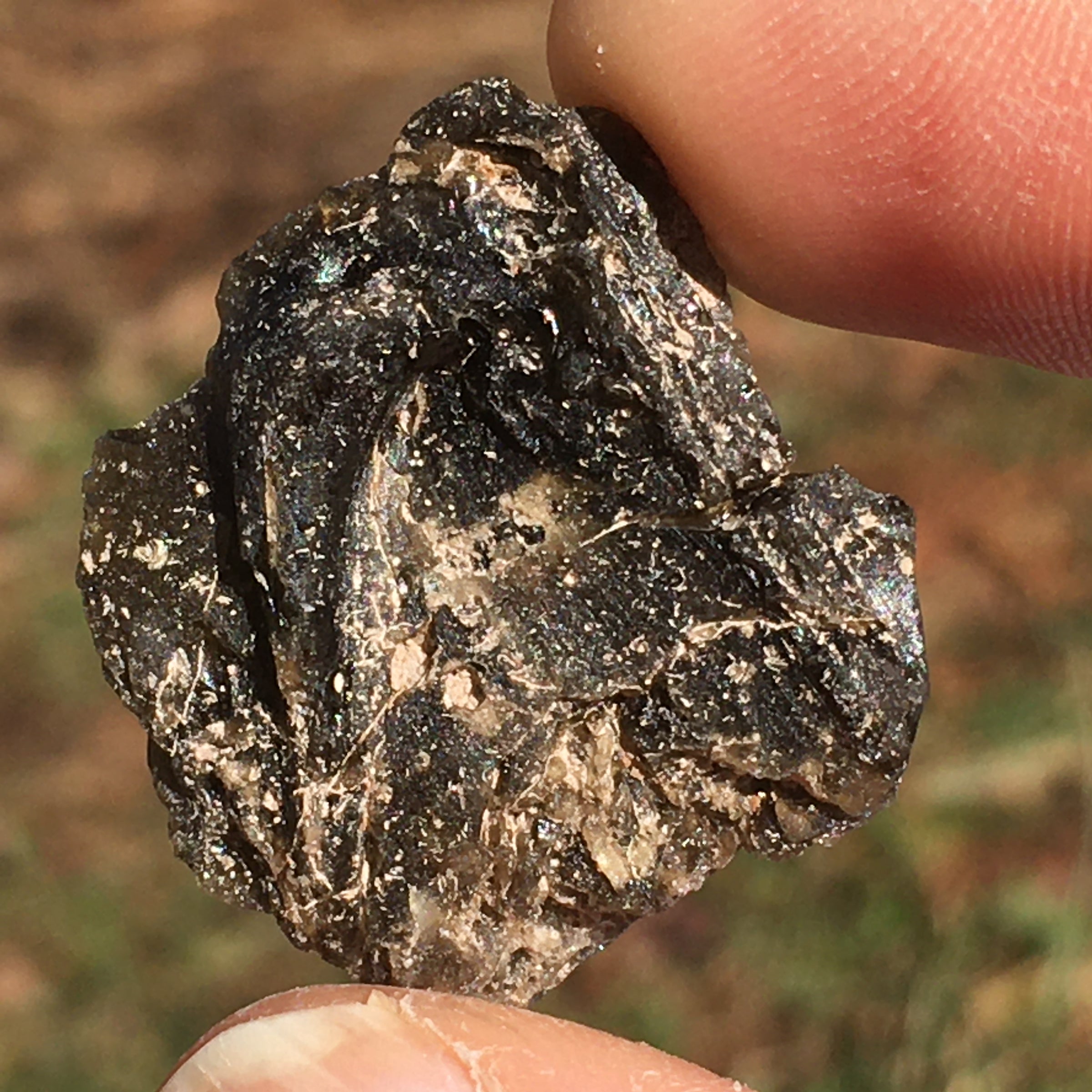 Darwinite Darwin Glass Tektite 6.2 grams-Moldavite Life