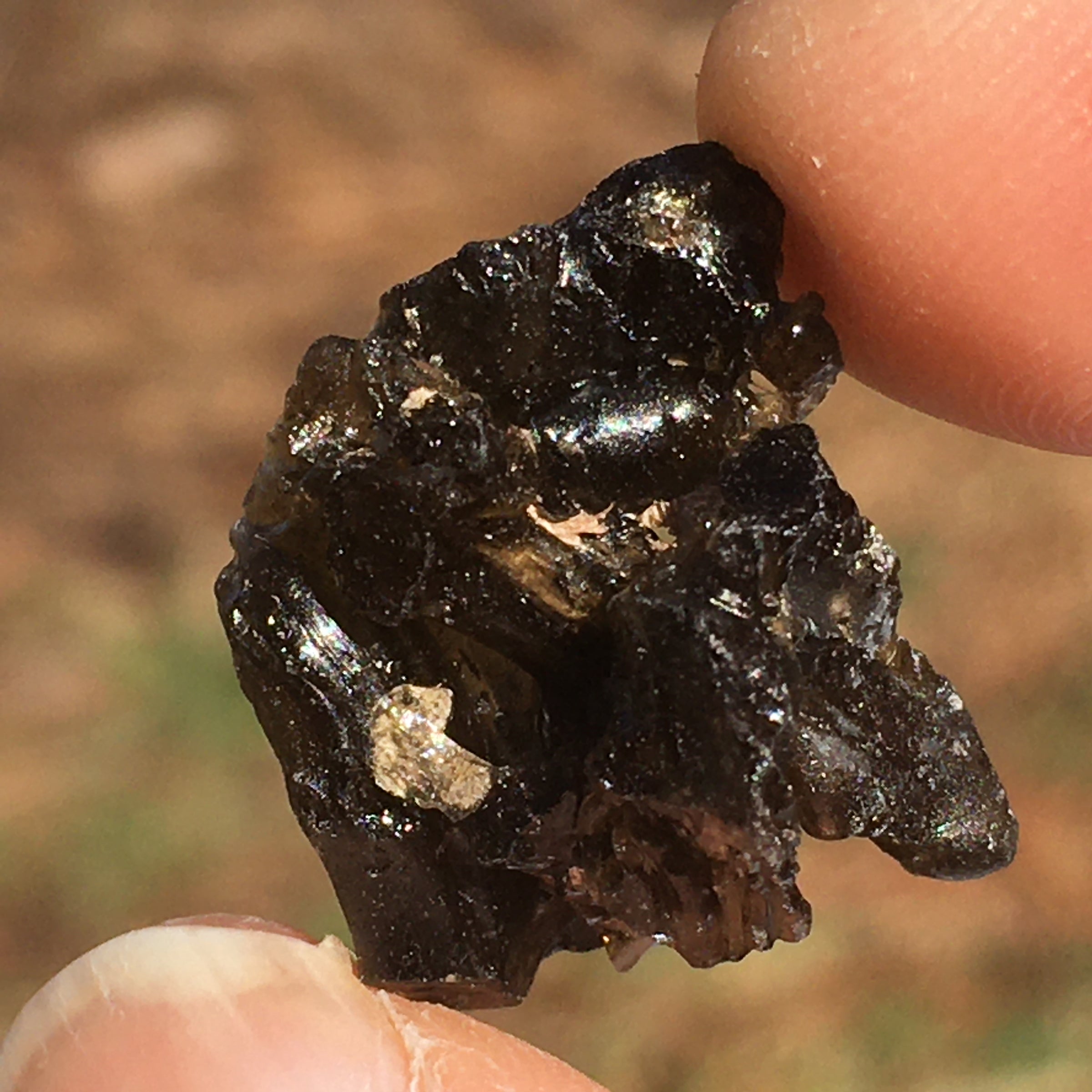 Darwinite Darwin Glass Tektite 2.7 grams-Moldavite Life