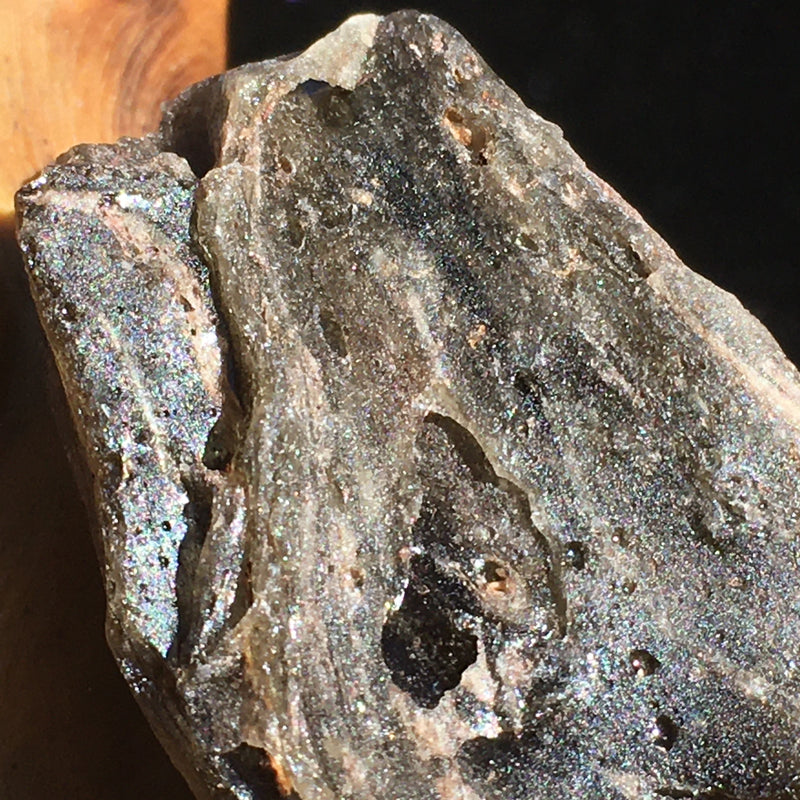 Darwinite Darwin Glass Tektite 4.9 grams-Moldavite Life