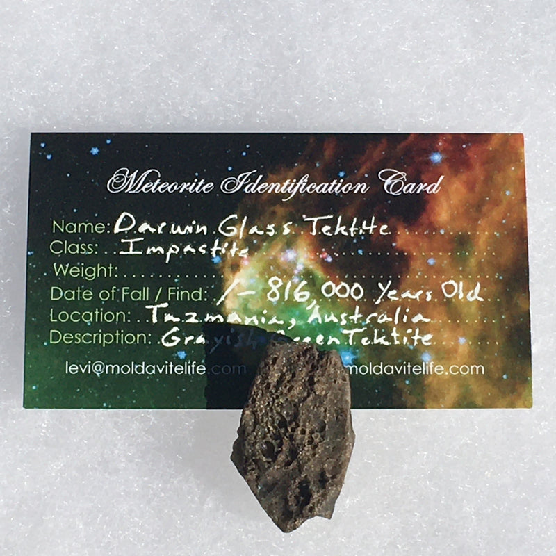 Darwinite Darwin Glass Tektite 4.9 grams-Moldavite Life