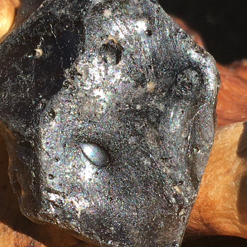 Darwinite Darwin Glass Tektite 6.0 grams-Moldavite Life