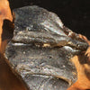 Darwinite Darwin Glass Tektite 6.0 grams-Moldavite Life