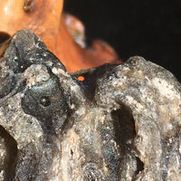 Darwinite Darwin Glass Tektite 9.7 grams-Moldavite Life