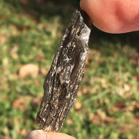 Darwinite Darwin Glass Tektite 3.4 grams-Moldavite Life