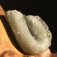 Darwinite Darwin Glass Tektite 2.4 grams-Moldavite Life